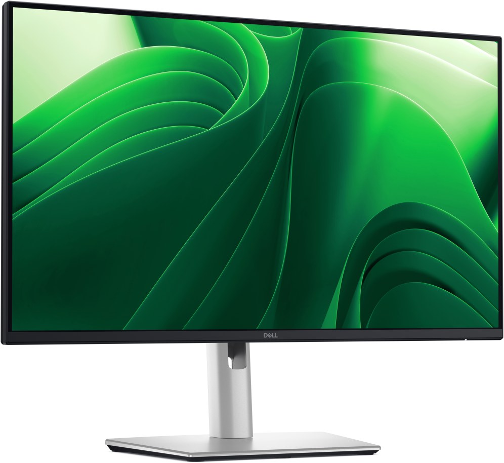 Monitor Dell Pro Plus P2425DE 24" QHD 2560x1440 100Hz IPS Negro
