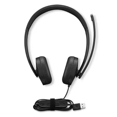 Auriculares Lenovo 4XD1P83425 De botón (TWS) USB-A Negro