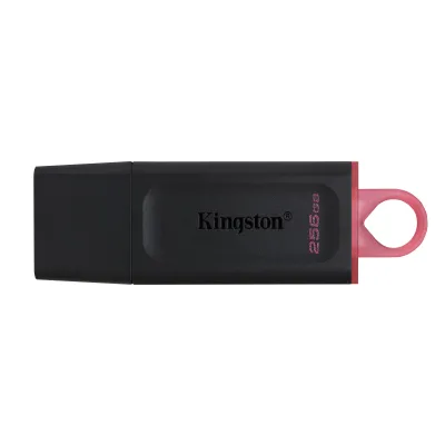 Memoria USB Kingston Technology DataTraveler Exodia 256GB USB-A