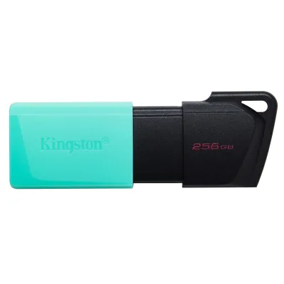 Memoria USB Kingston Technology DataTraveler Exodia M 256GB USB-A