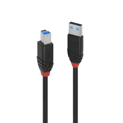 Cable LINDY USB A a USB B 10 m USB 3.2 Gen 1 Negro