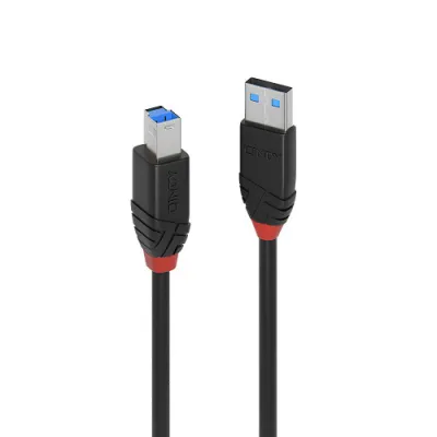 Cable LINDY USB A a USB B 10 m Negro