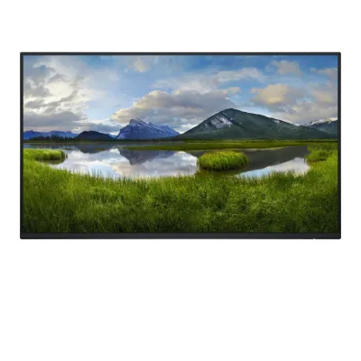 Monitor Dell P2425H 24" Full HD 1920x1080 IPS 100Hz Negro