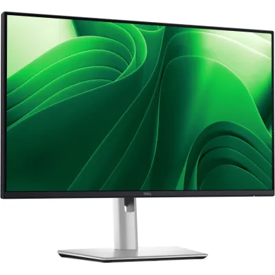 Monitor Dell Pro Plus P2425DE 24" QHD 2560x1440 100Hz IPS Negro